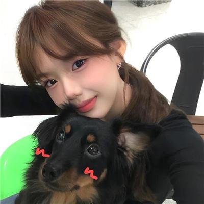 恶犬之下 封面