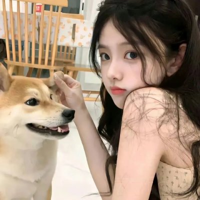 非来不可第三季 封面