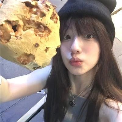 生病的动物 封面